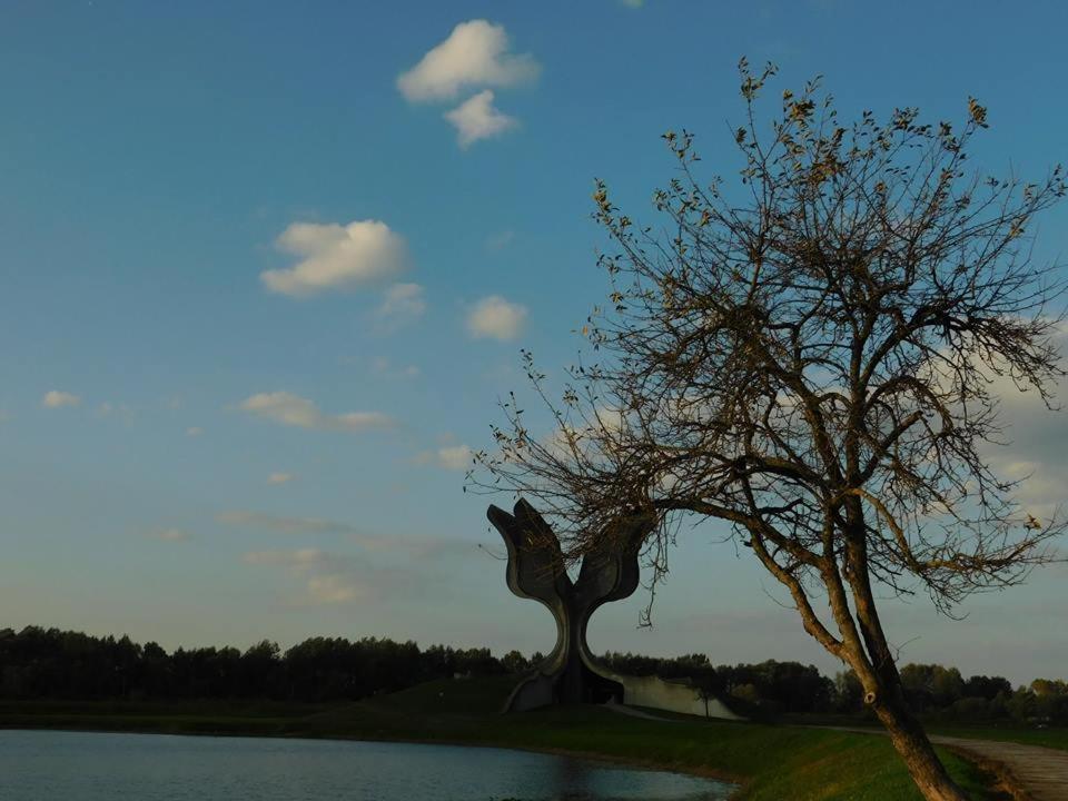 Bed and Breakfast Kod Ribica Jasenovac Zewnętrze zdjęcie