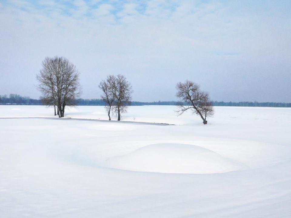 Bed and Breakfast Kod Ribica Jasenovac Zewnętrze zdjęcie